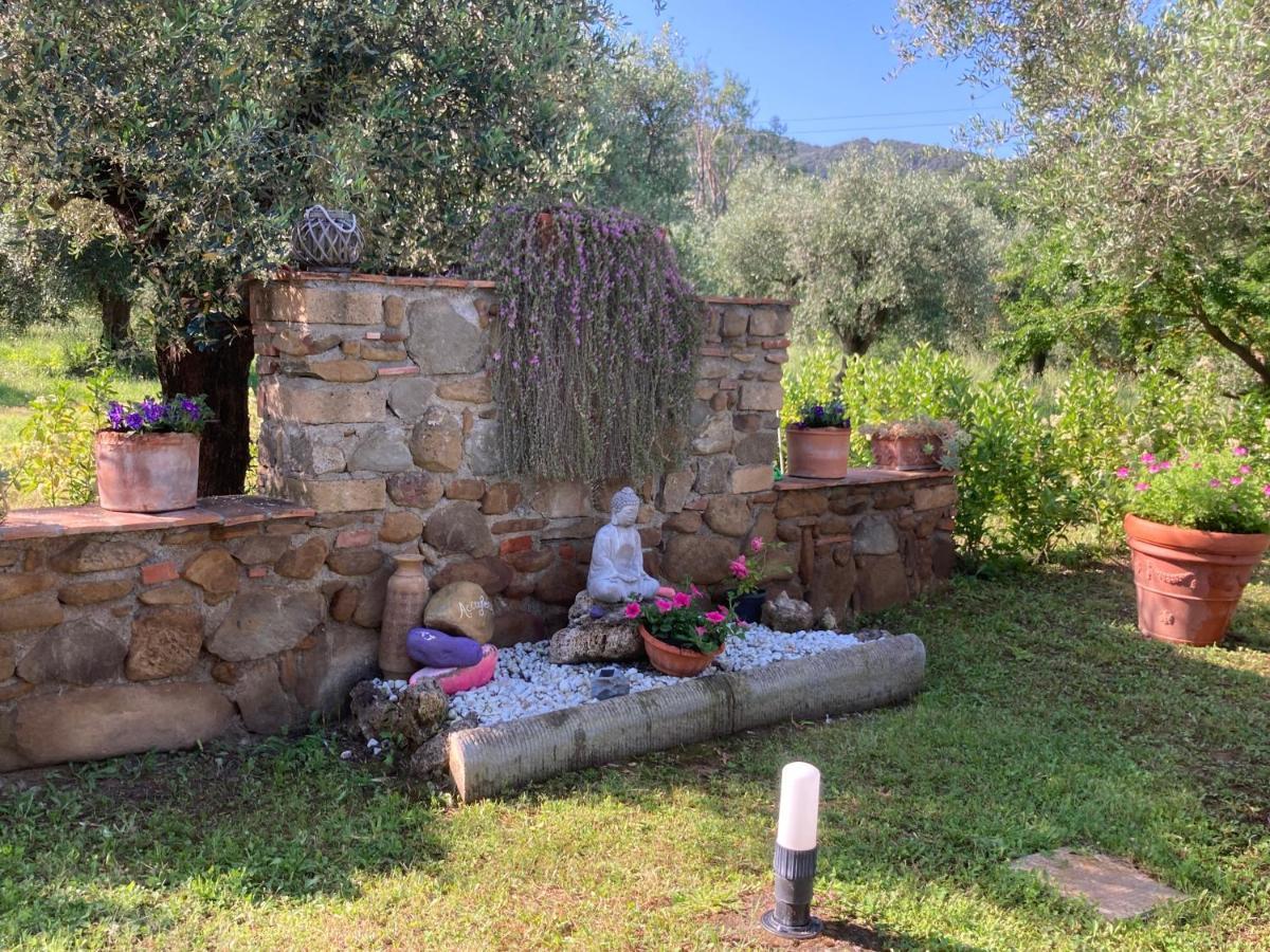 Agriturismo Buen Camino Scarlino Zewnętrze zdjęcie