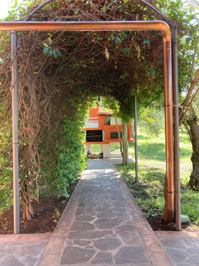 Agriturismo Buen Camino Scarlino Zewnętrze zdjęcie