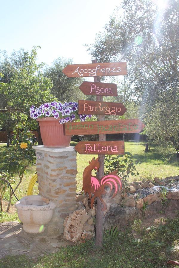 Agriturismo Buen Camino Scarlino Zewnętrze zdjęcie
